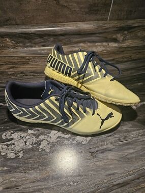 Puma Indoor Performance Soccer Shoes